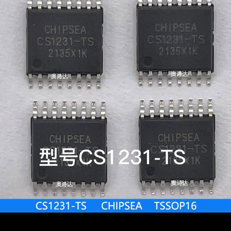 CS1231-TS
