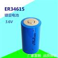 ER34615高容量锂亚硫酰氯ER34615电池