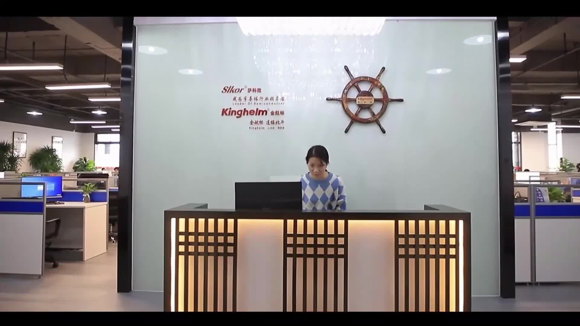 正在参加2025年度“十大国产品牌商”评选，快来投我一票！深圳市萨科微半导体有限公司